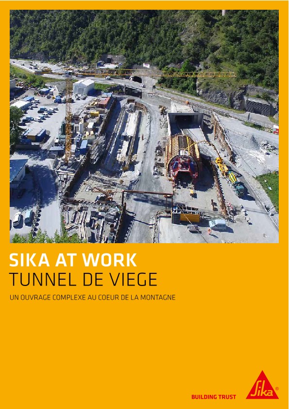 Tunnel de Viege - 2017
